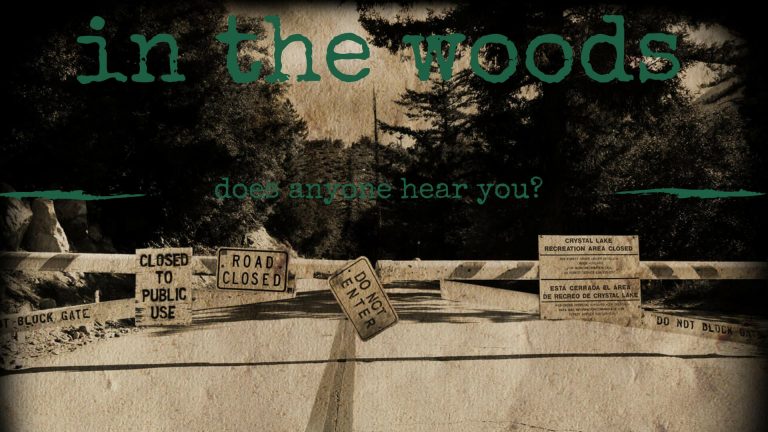 In The Woods Film by Colored Films llc amazon prime video poster