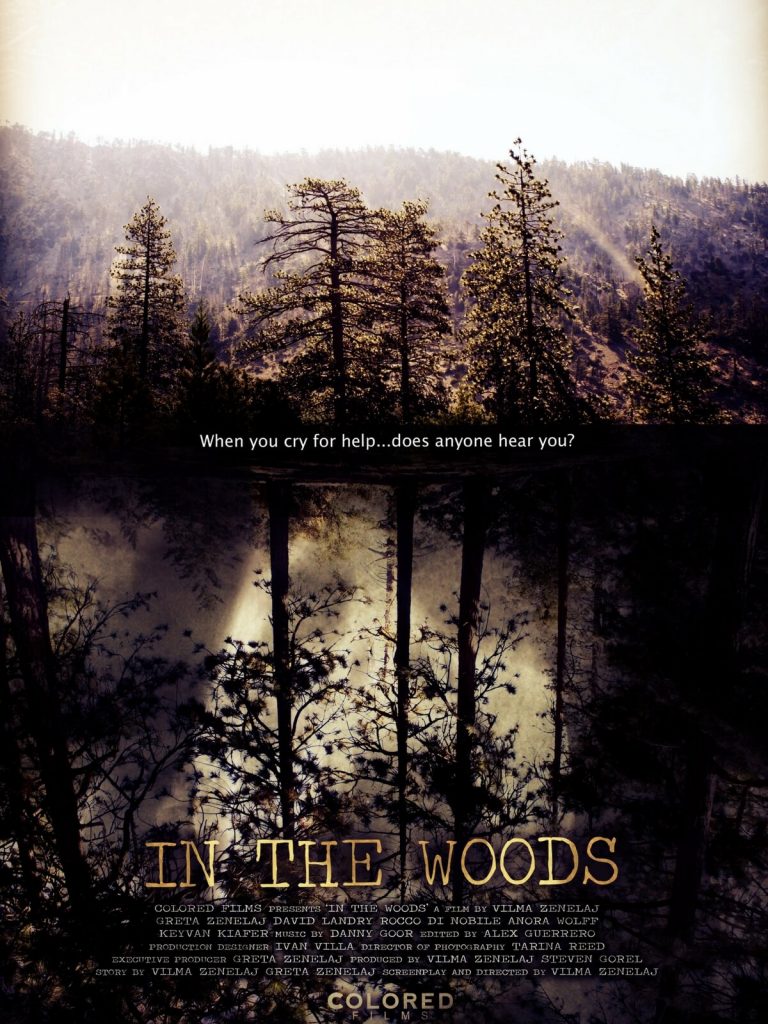 In The Woods Poster Colored Films LLC